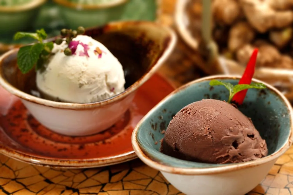 Gourmet chocolate and Madagascan vanilla ice cream scoops presented in delicate ceramic bowls